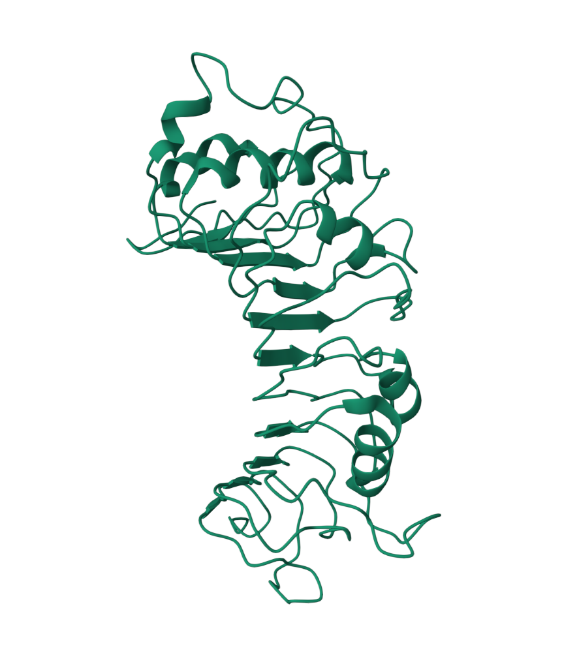 远泰生物抗体产品推荐:CD14(Catalog# 30590)