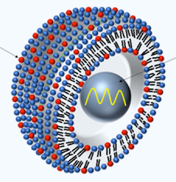 浅述:mRNA技术发展中的问题、优势及应用领域