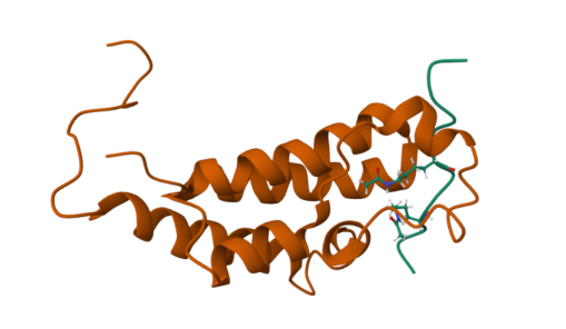 远泰生物抗体产品推荐:TWIST1(Cat#30506&30427)