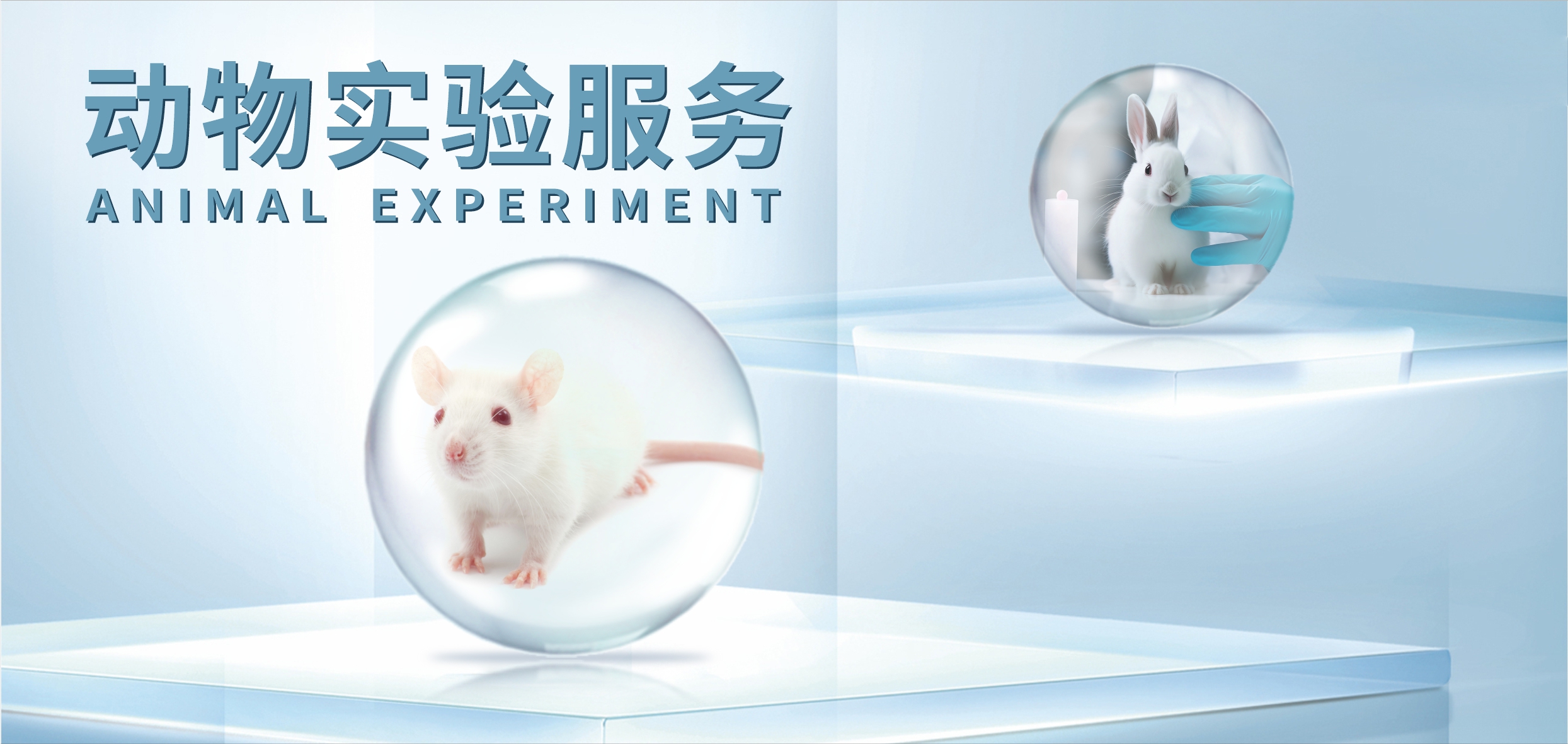 远泰生物,您的动物实验好伙伴